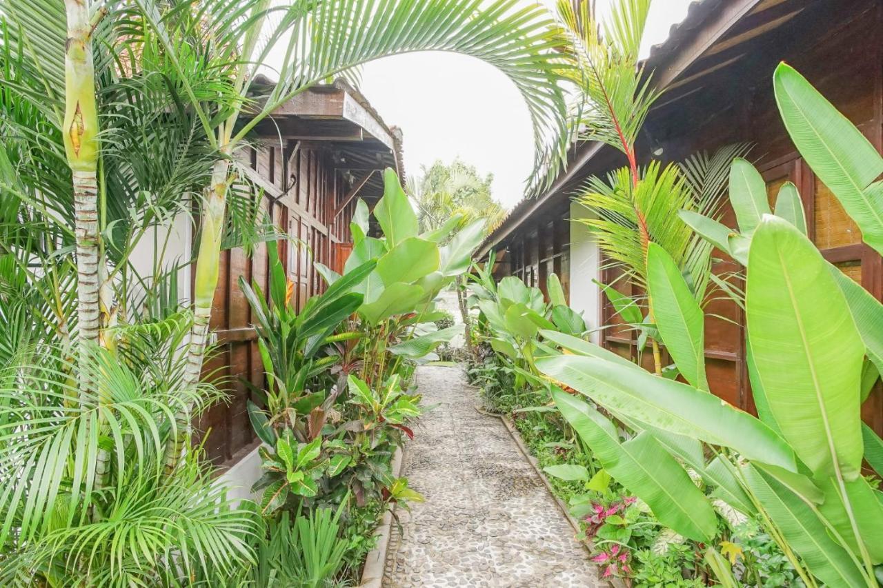 Surfer Paradise Villas Canggu Kültér fotó